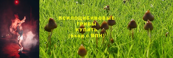 a pvp Каменка