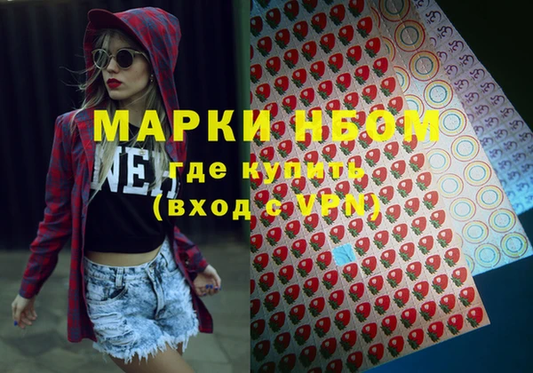 индика Каменск-Шахтинский