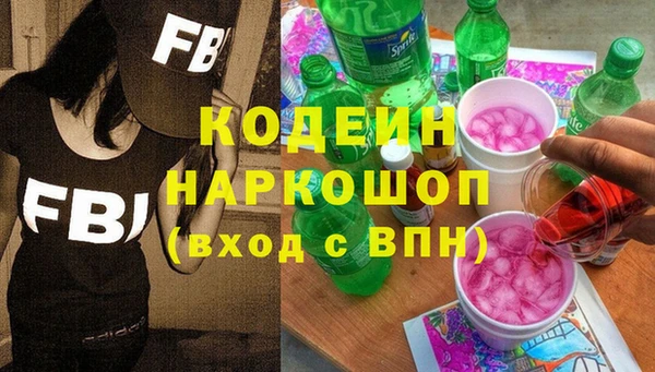 индика Каменск-Шахтинский