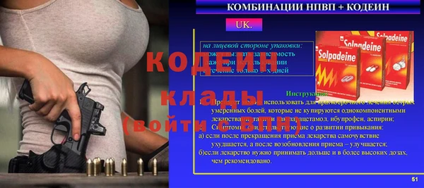 индика Каменск-Шахтинский