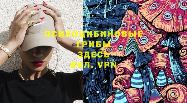 индика Каменск-Шахтинский