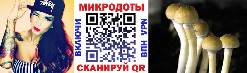 Псилоцибиновые грибы GOLDEN TEACHER  Купить закладки  Циолковский 