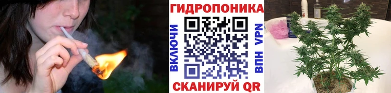 Каннабис VHQ  Купить  Циолковский 